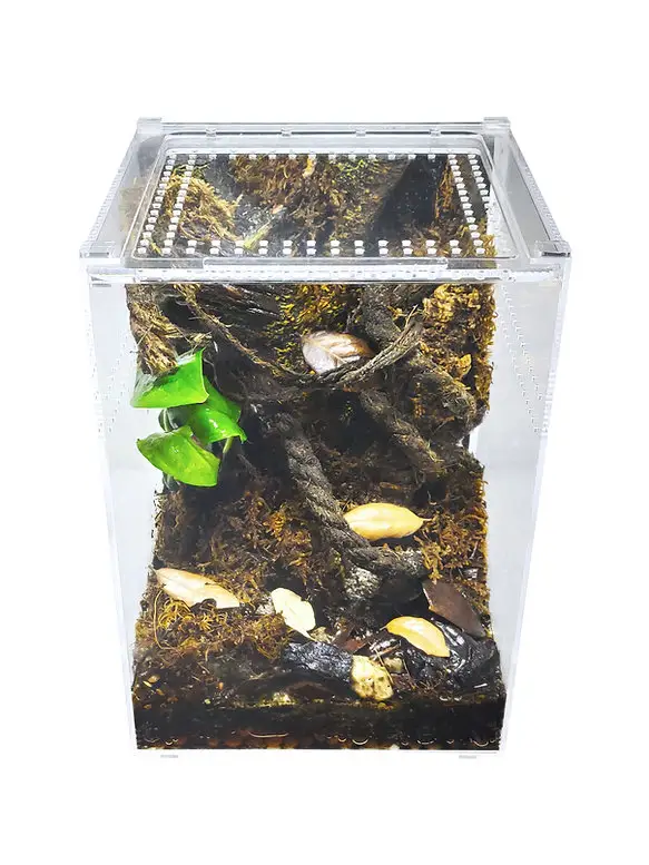 Custom acrylic insect and reptile glass tank stackable acrylic housing, medium height, magnetic buckle