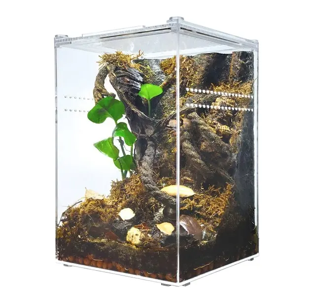 Custom acrylic insect and reptile glass tank stackable acrylic housing, medium height, magnetic buckle