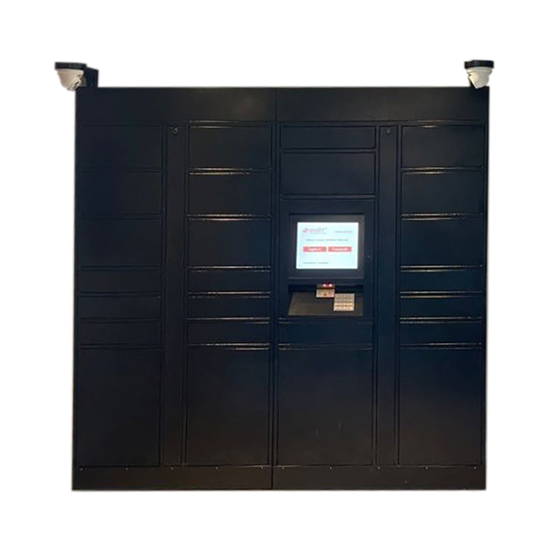 Headleader Assembled Package Delivery Lockers 20 Door Mini Lockers Community Office Personal Parcel Locker Customized