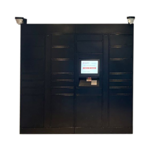 Headleader Assembled Package Delivery Lockers 20 Door Mini Lockers Community Office Personal Parcel Locker Customized