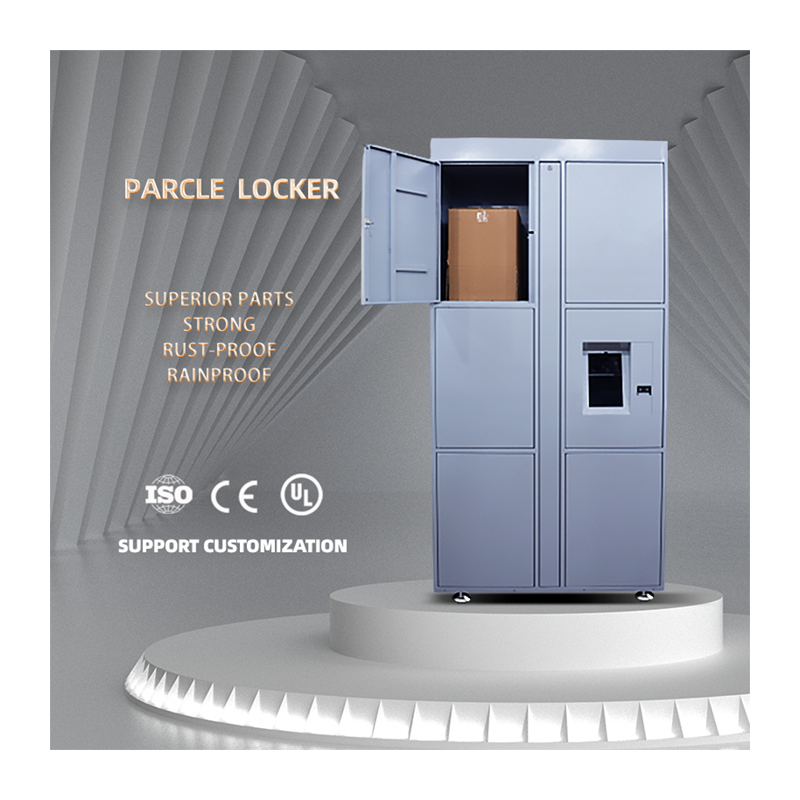 Metallic Gym Locker For Clothes Storage 2/3/4/6/9/10/15/24 Doors School Office Used Steel Locker Wardrobe Parcel Filing Cabinets