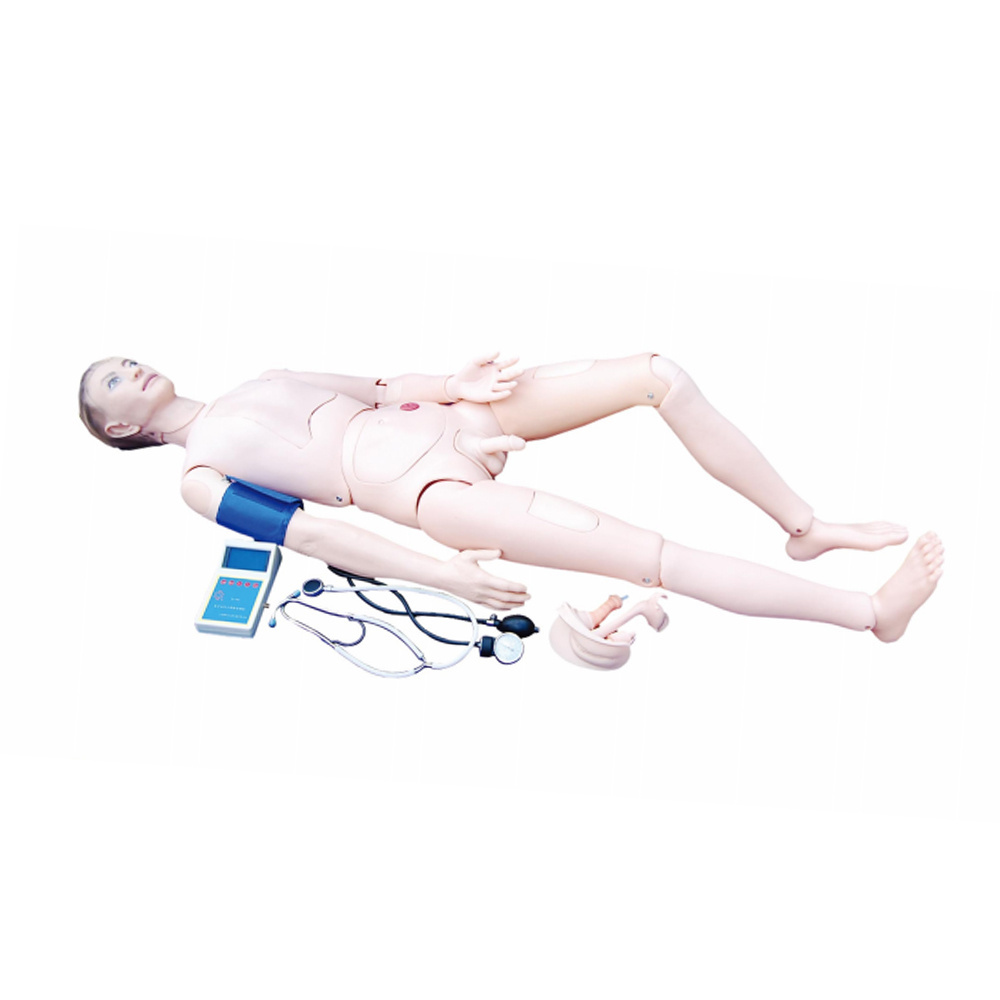 Advanced Nurse Training Doll with Blood Pressure Training Arim (Male/Female)