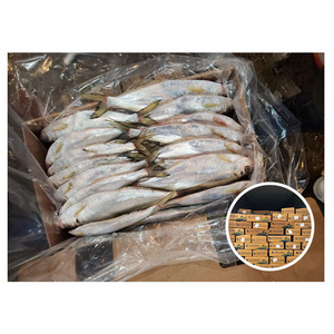 Frozen Slender Shad Raw Material Katti Fish to Bangladesh Market