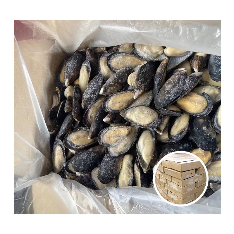 Hot Sale Mussels In Shell Fish Import Export Frozen Seafood Frozen Shell