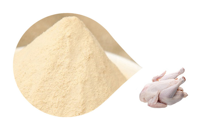 Supply Bulk Halal Chicken meat Seasoning Powder for puffed food