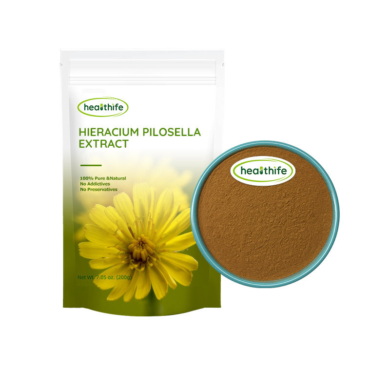 Healthife Wild Chrysanthemum Extract 4:1 Hieracium Pilosella Extract Powder