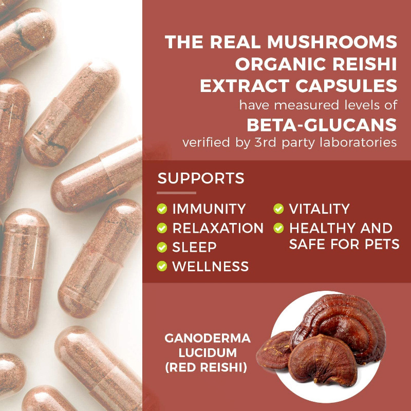 Healthife  Organic Ganoderma Lucidum Extract Powder Organic reishi  Capsules