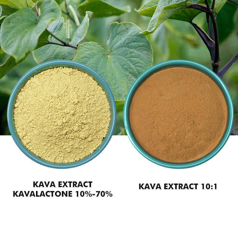 FocusHerb Supply Free Sample Kava Extract Powder