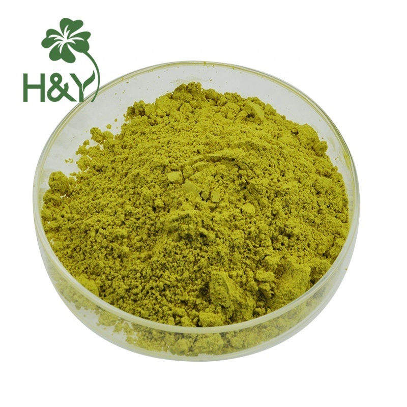 Factory fast supply natural Sophora Japonica Extract 98% quercetin powder quercetin capsule