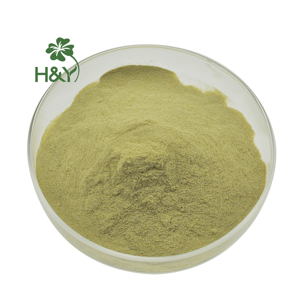 Hot-Selling Pure & Natural Botanical Extract Lycopodium Clavatum Spore Powder