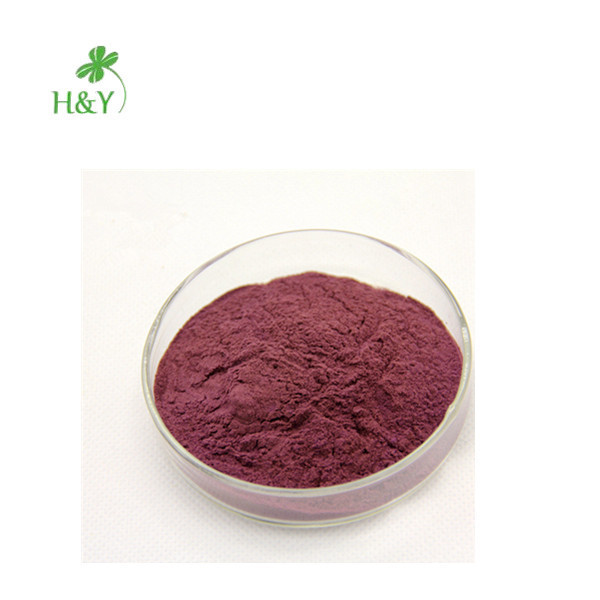 Free Shipping Best Selling Aronia Berry Juice Powder In Bulk