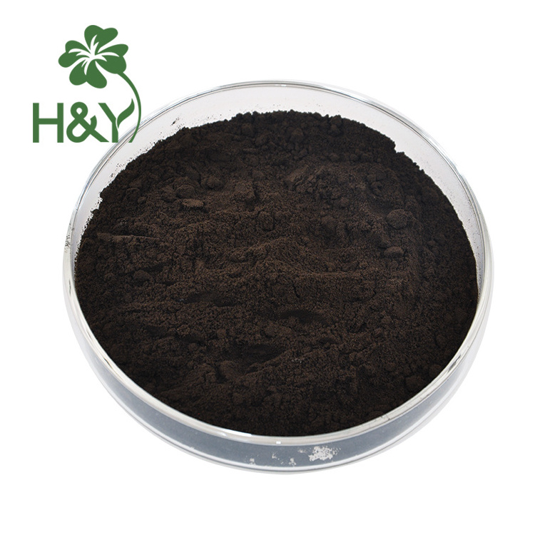 OEM Support Chinese Traditional Herb Forsythia Suspensa Extract 0.3% Hypericin