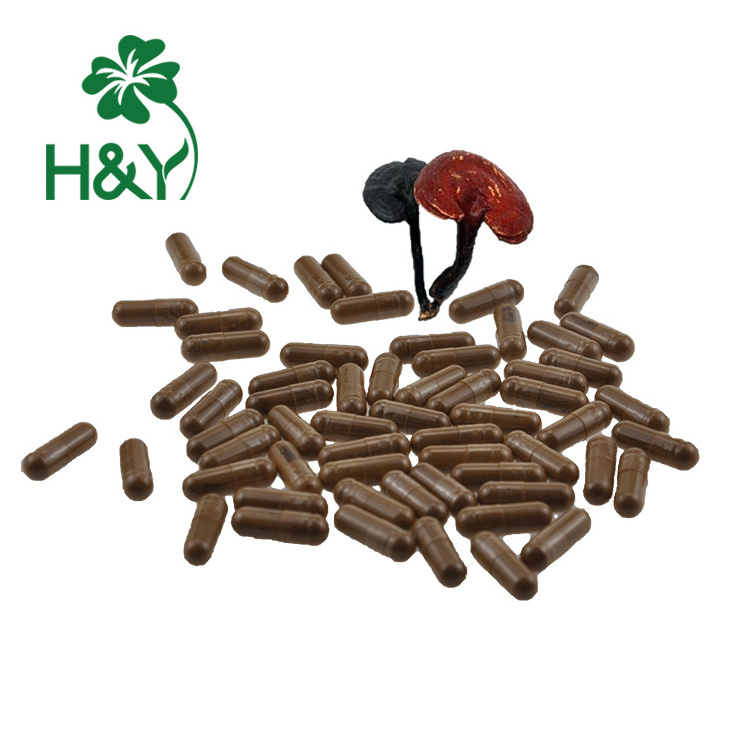 Reishi mushroom powder ganoderma lucidum spore powder capsule reishi mushroom extract capsules