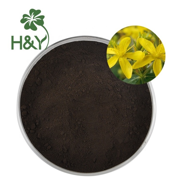 OEM Support Chinese Traditional Herb Forsythia Suspensa Extract 0.3% Hypericin