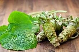 High Quality Factory Supply Natural Additive Fast Delivery Best Price Spicy Horseradish Wasabi Extract Wasabi Powder