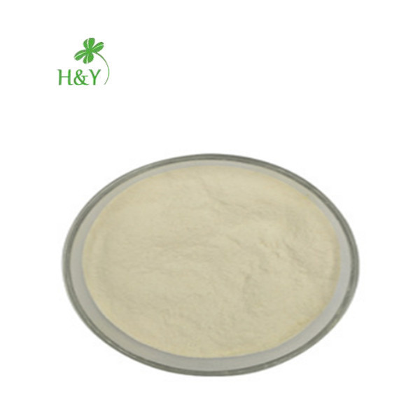 hot selling natural green apple extract powder green apple powder