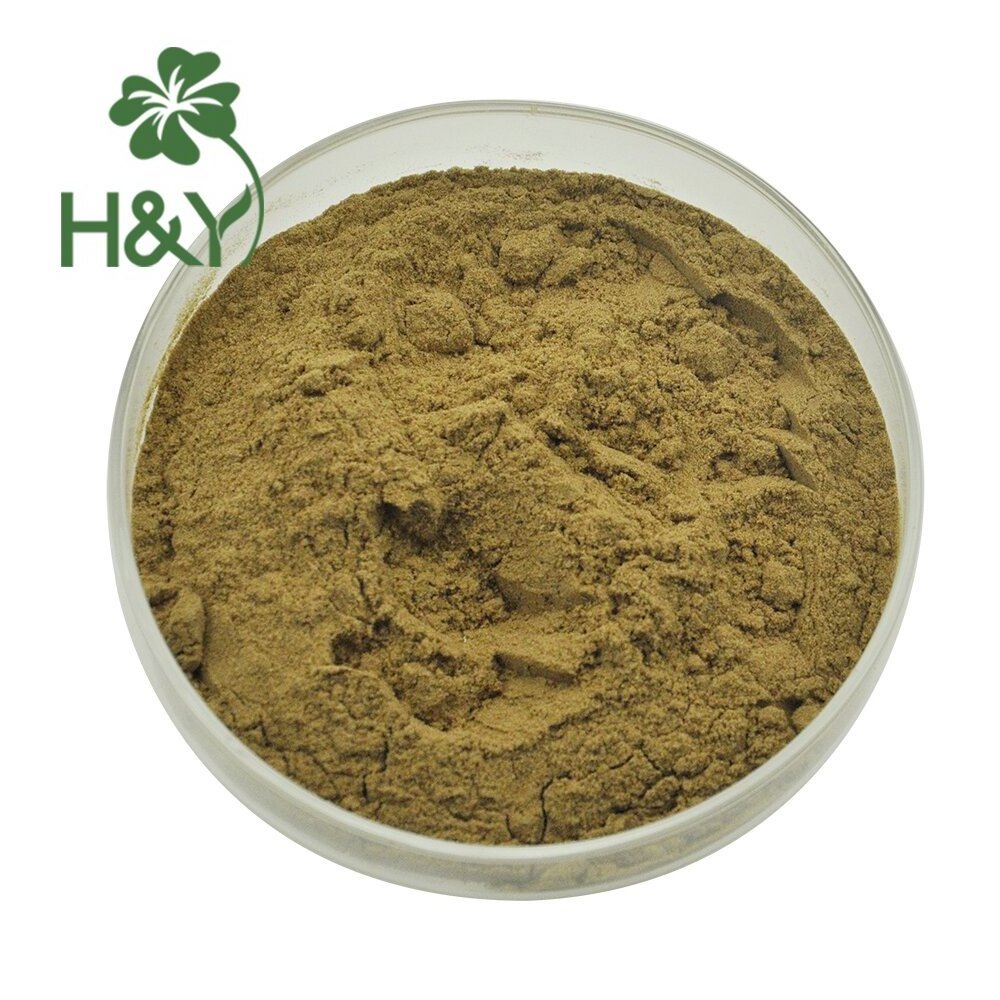 Factory Supply Healthway Supply Wholesale High Quality Phlomis Umbrosa Root Extract 10:1 Phlomis Umbrosa Extract