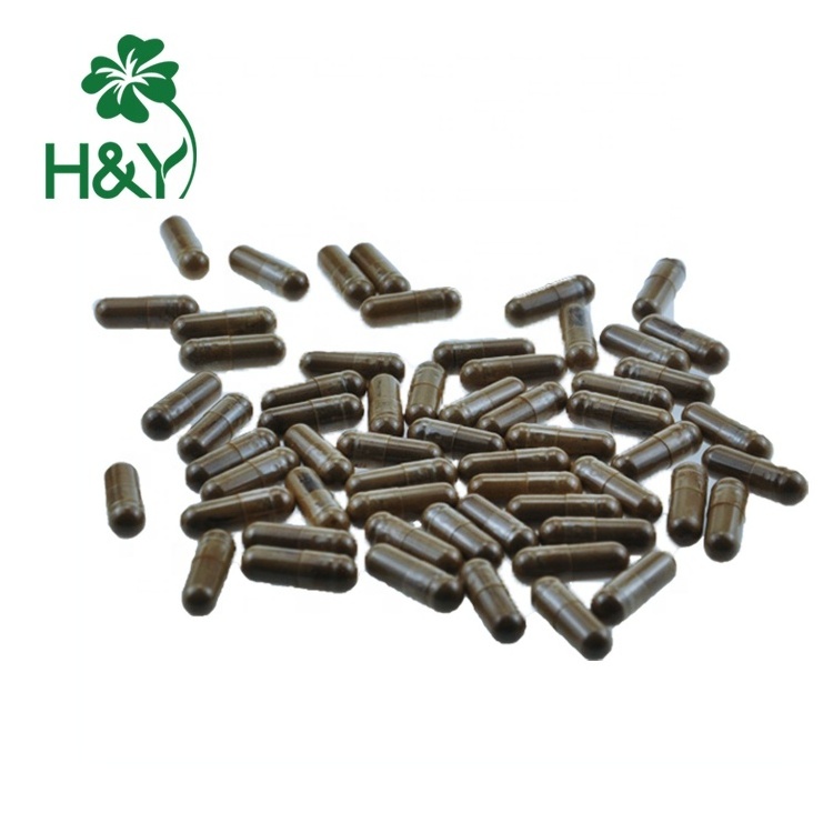 OEM Support Chinese Traditional Herb Forsythia Suspensa Extract 0.3% Hypericin