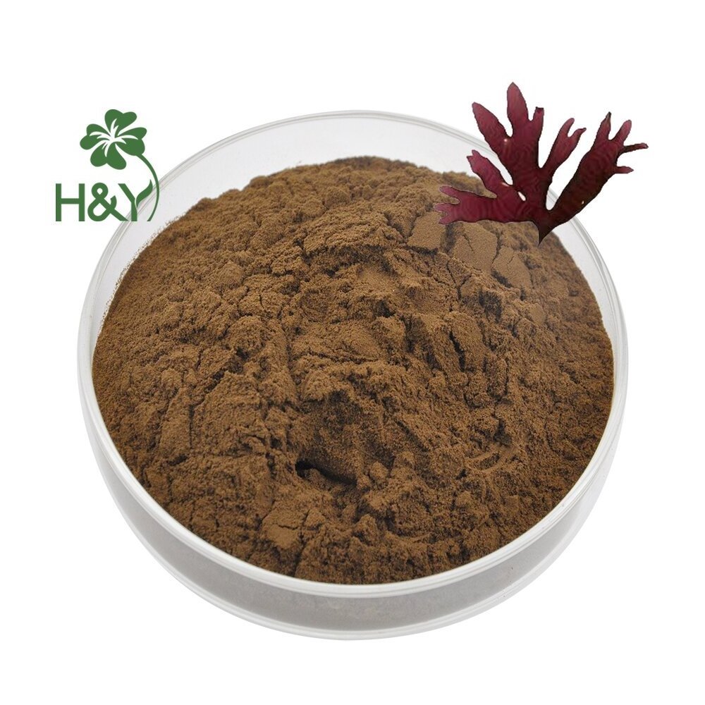 High Quality Factory Supply Healthway Supply Natural Dried Dulse Extract Palmaria Palmata Powder Red Algae Powder