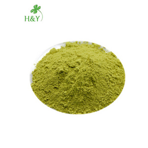 Wholesale Sophora Japonica extract genistein extract genistein powder