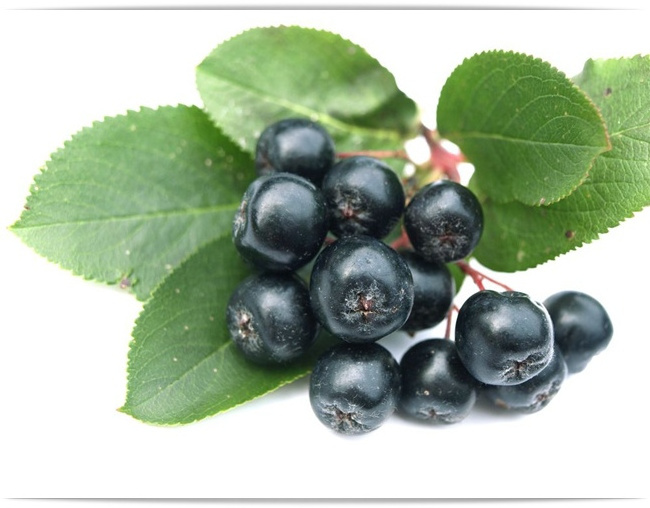 Free Shipping Best Selling Aronia Berry Juice Powder In Bulk