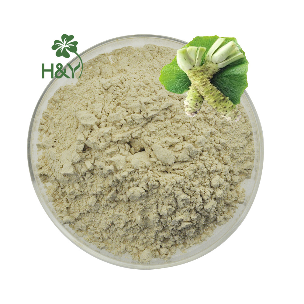 High Quality Factory Supply Natural Additive Fast Delivery Best Price Spicy Horseradish Wasabi Extract Wasabi Powder