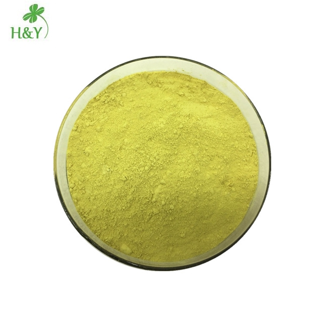 Wholesale Sophora Japonica extract genistein extract genistein powder