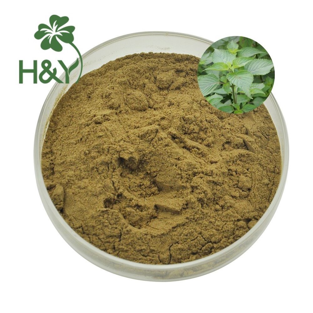 Factory Supply Healthway Supply Wholesale High Quality Phlomis Umbrosa Root Extract 10:1 Phlomis Umbrosa Extract