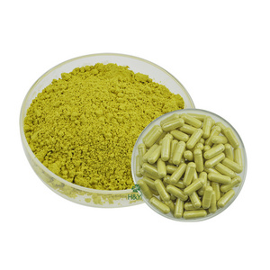 Factory fast supply natural Sophora Japonica Extract 98% quercetin powder quercetin capsule