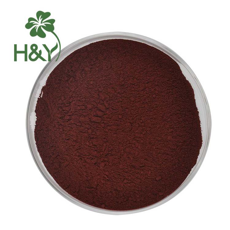 Factory Direct Sale 99% bilberry raspberry extract powder ketone bilberry raspberry fruit berry juice powder