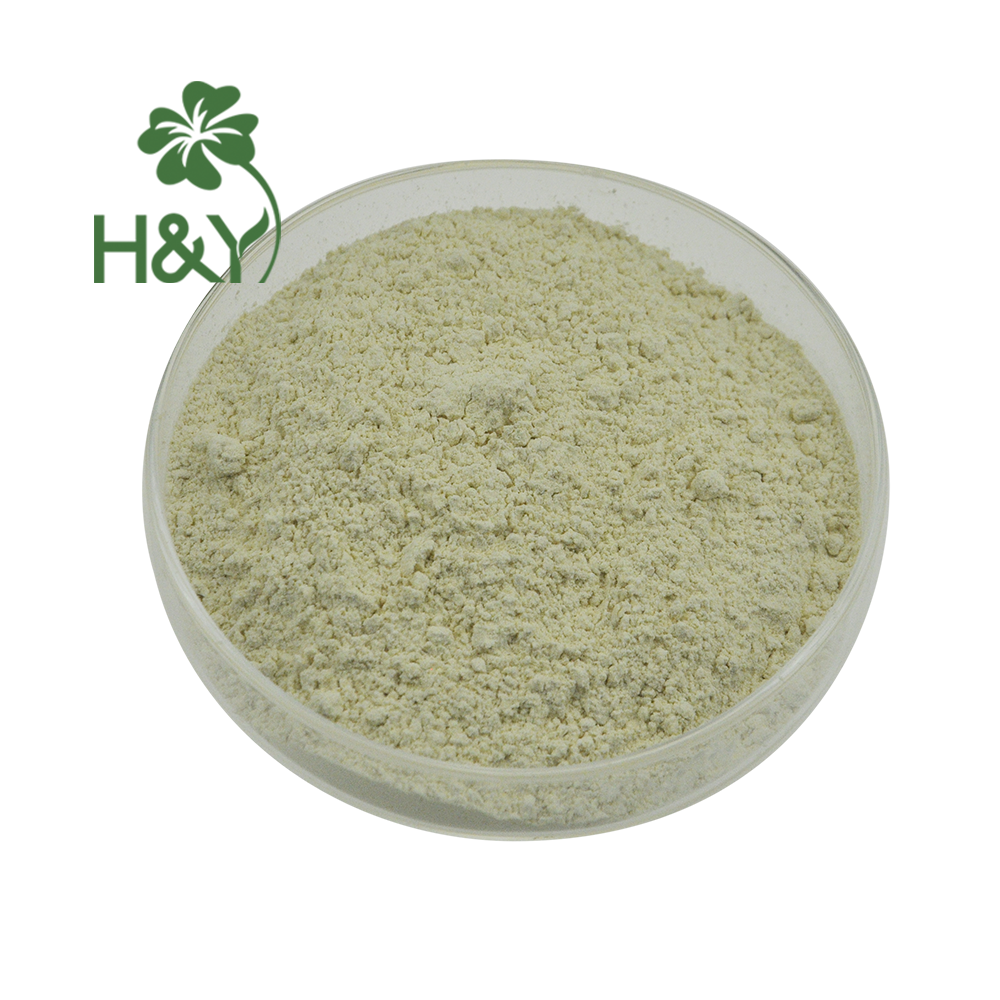 Immature bitter orange extract supplement hesperetin 98% hesperidin powder