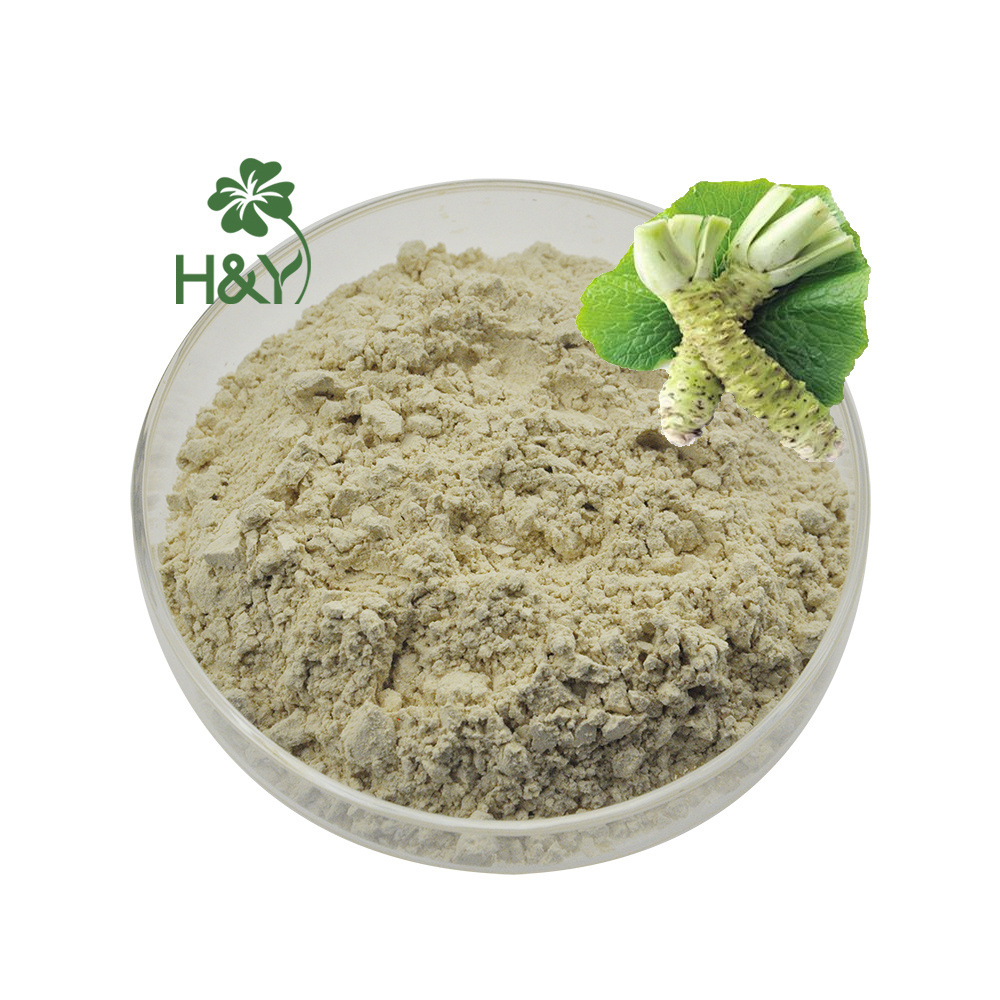 High Quality Factory Supply Natural Additive Fast Delivery Best Price Spicy Horseradish Wasabi Extract Wasabi Powder