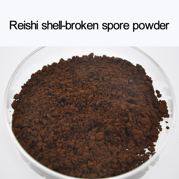 Reishi mushroom powder ganoderma lucidum spore powder capsule reishi mushroom extract capsules