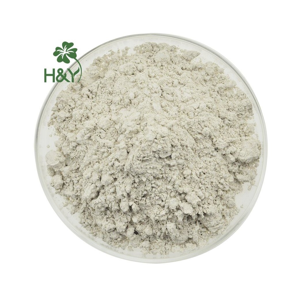 High Quality Best Price Oat Beta-Glucan Oats Beta Glucan 90% Oats Beta Glucan