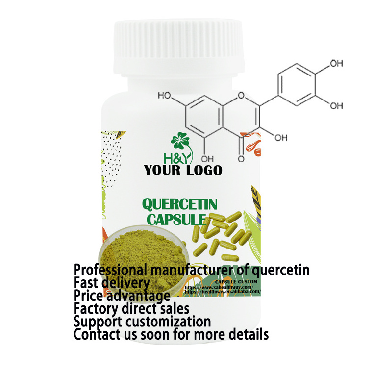 Factory fast supply natural Sophora Japonica Extract 98% quercetin powder quercetin capsule