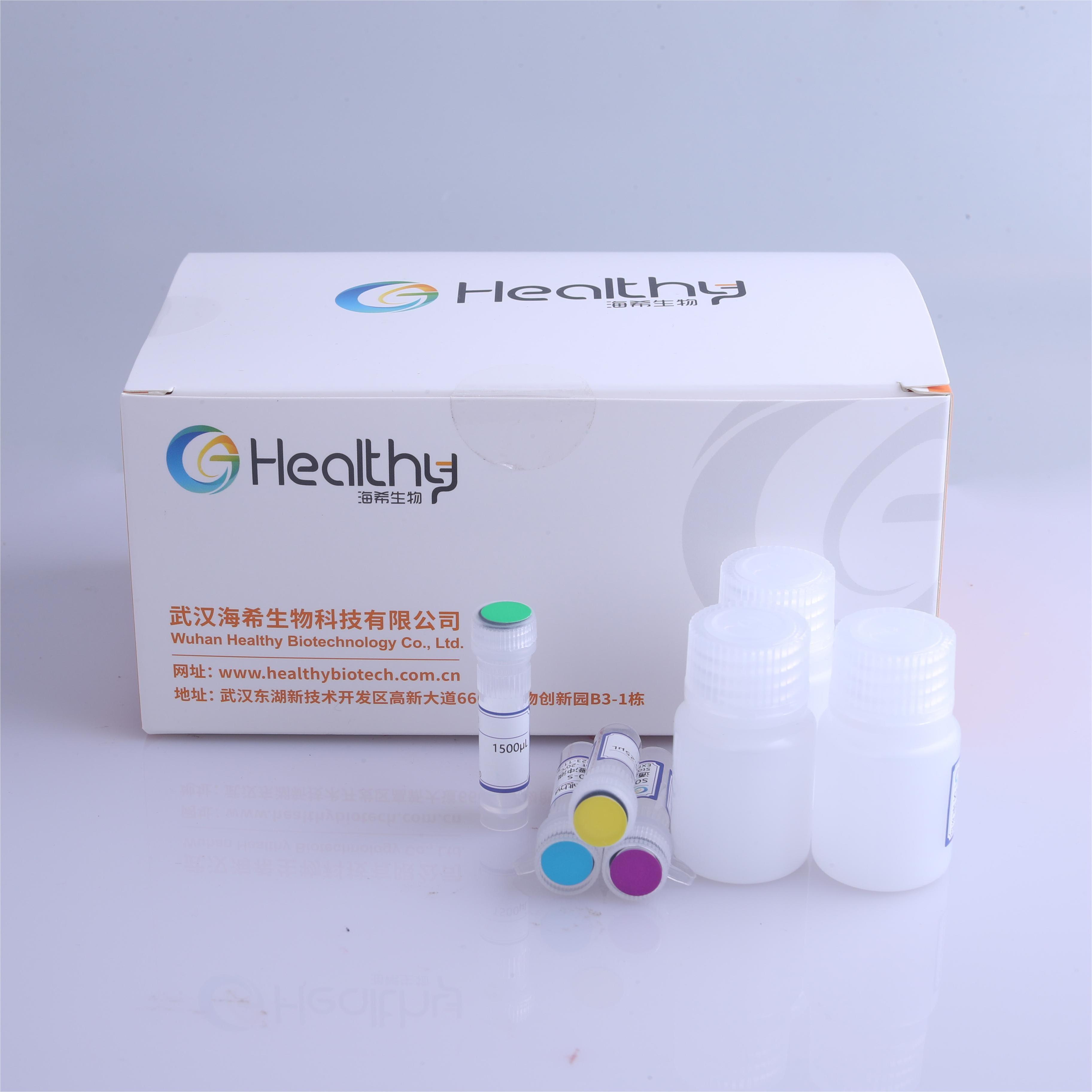 Healthy nucleic acid extraction pcr machine CE-certification gene test kit gene fusion genotyping sensitive detection kit