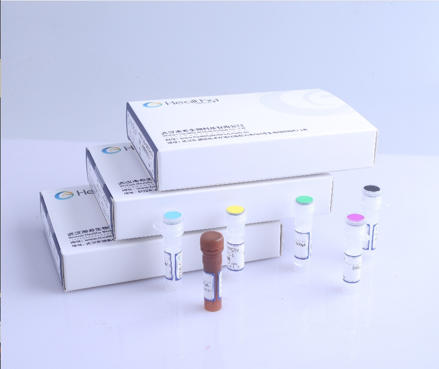 Healthy nucleic acid extraction pcr machine CE-certification gene test kit gene fusion genotyping sensitive detection kit