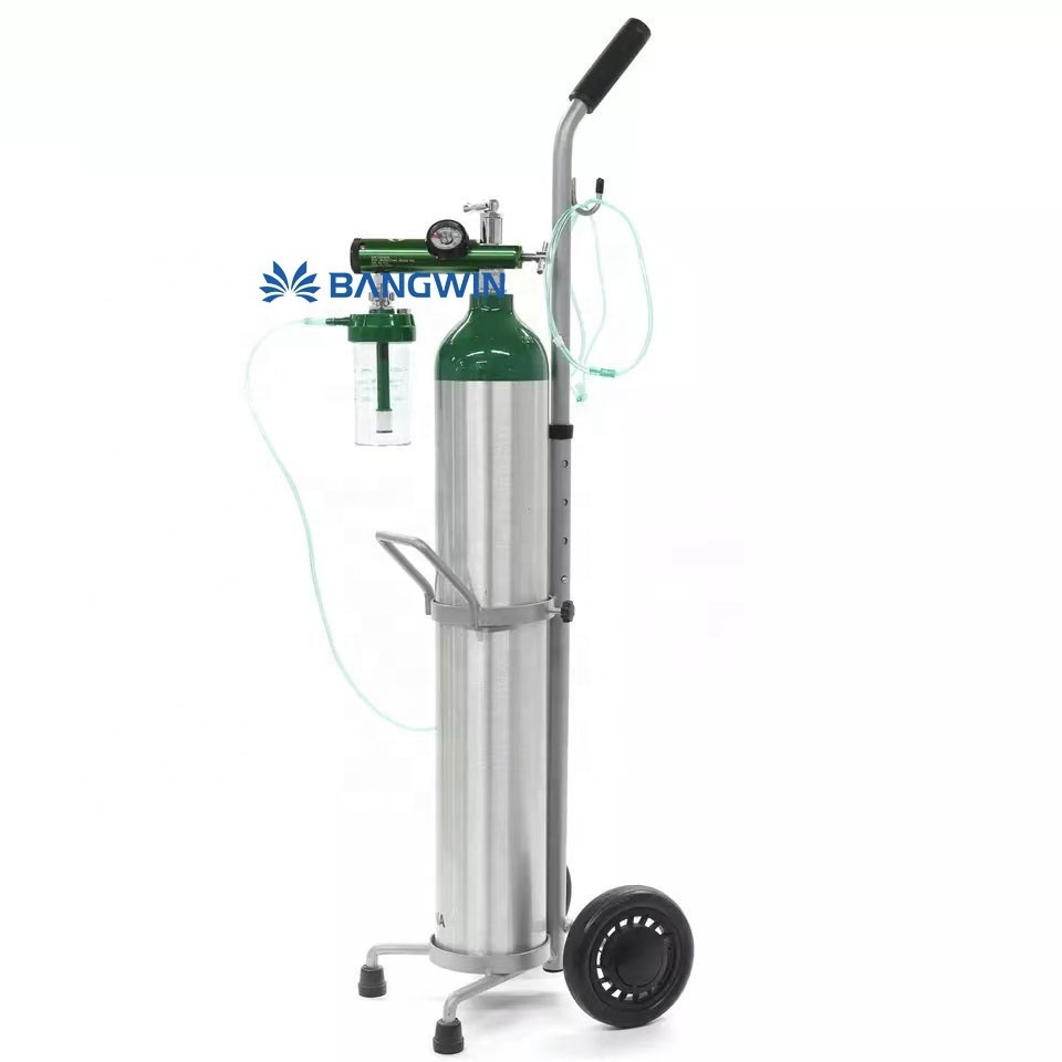 High Pressure M60 60cuft 10L aluminum Oxygen Cylinder with CGA540 bull nose valve and black plastic ABS handle