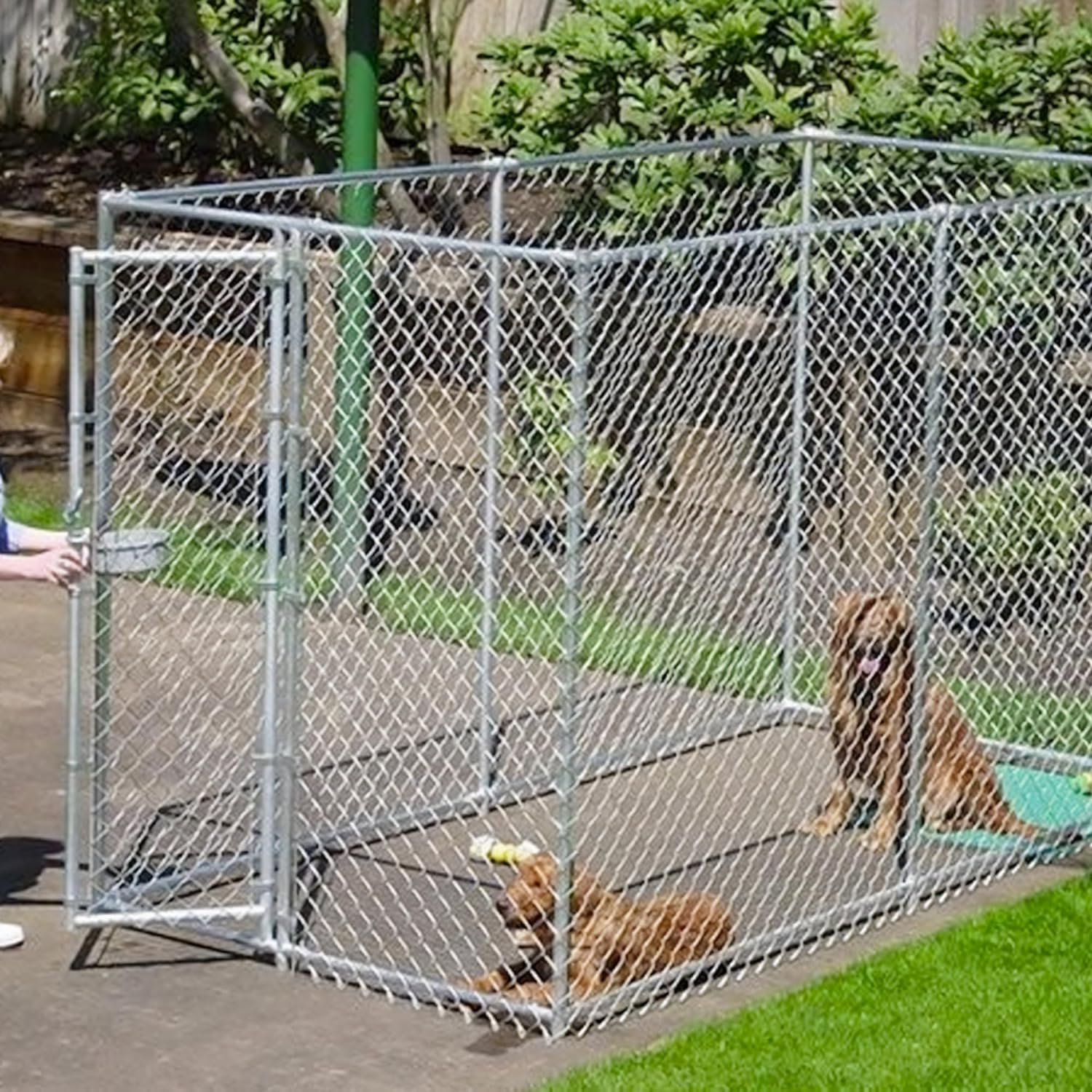 Heavy Duty Galvanized Outdoor Chain Link Dog Kennel Dog Run Steel Door Cage Pet Exercise Pen Fence