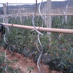 Tomato Growing spiral/plant support wire