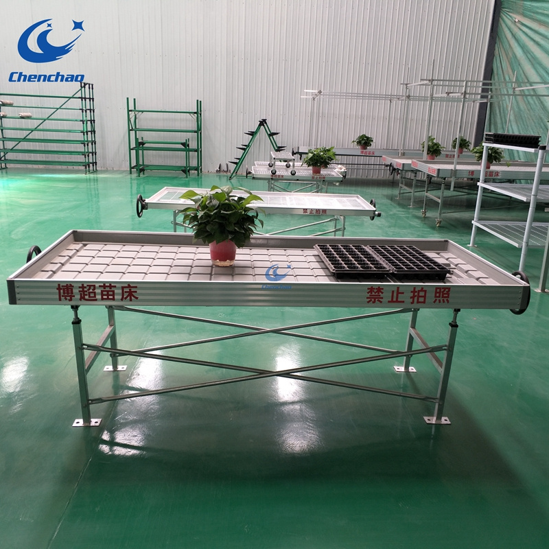 Ebb and flow greenhouse grow plants with tray rolling bench