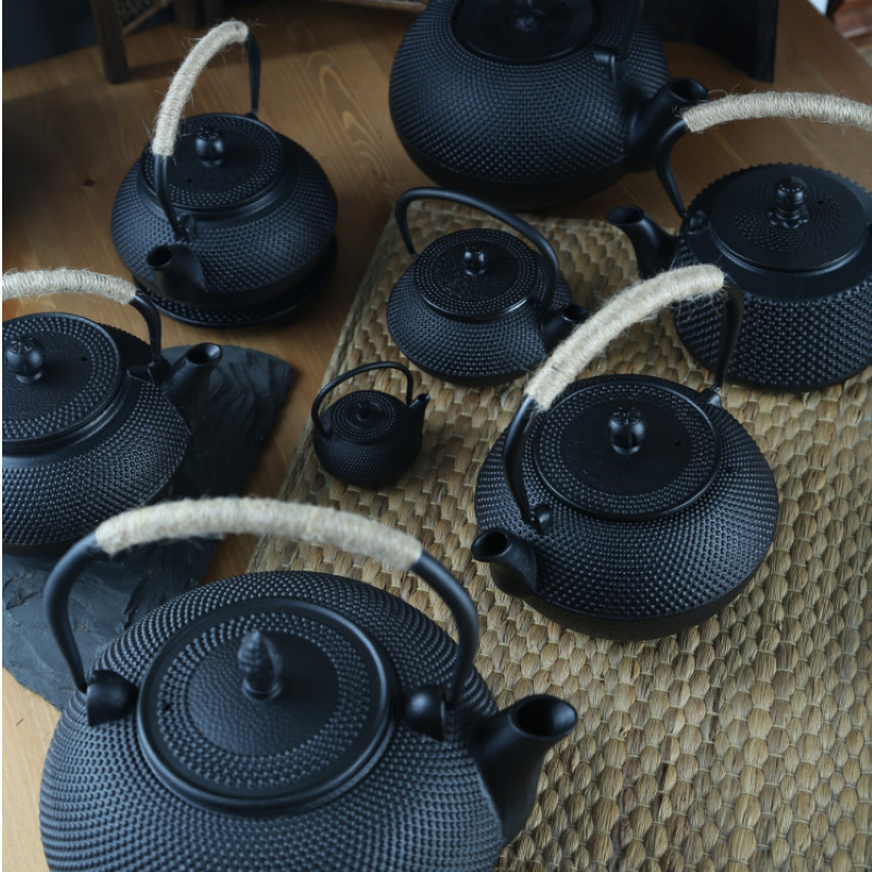 Cast Iron Teapot, Japanese Tetsubin Tea Pot with Infuser for Loose Leaf and Tea Bags, Tea Kettle Coated with Enameled Interior