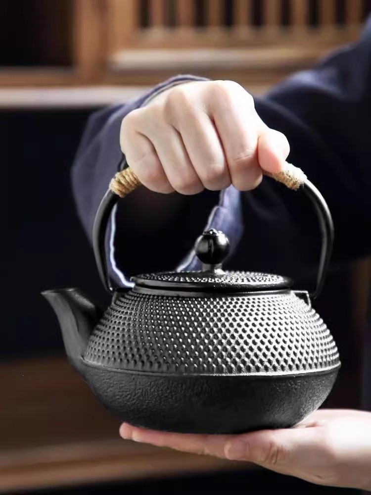 Cast Iron Teapot, Japanese Tetsubin Tea Pot with Infuser for Loose Leaf and Tea Bags, Tea Kettle Coated with Enameled Interior