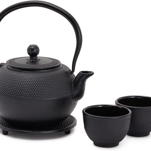 Cast Iron Teapot, Japanese Tetsubin Tea Pot with Infuser for Loose Leaf and Tea Bags, Tea Kettle Coated with Enameled Interior