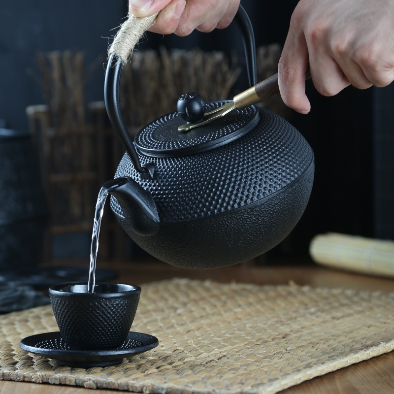 Cast Iron Teapot, Japanese Tetsubin Tea Pot with Infuser for Loose Leaf and Tea Bags, Tea Kettle Coated with Enameled Interior