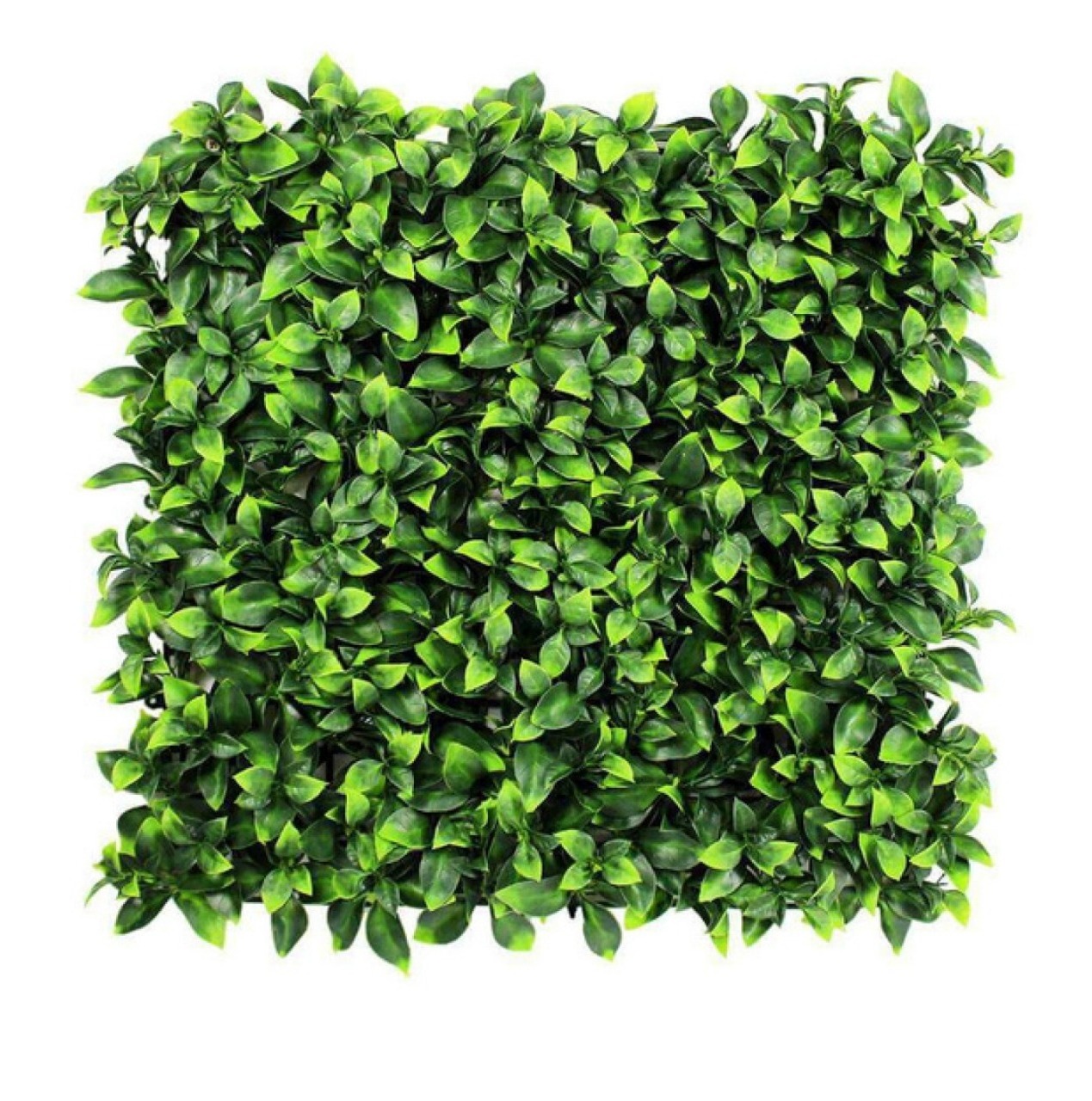 Milan Grass Outdoor Flower 3d flower wall backdrop Artificial Boxwood Wall