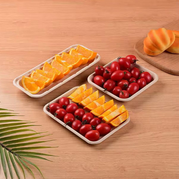 Factory Compostable Biodegradable Disposable Bagasse Paper Meat Tray Dish