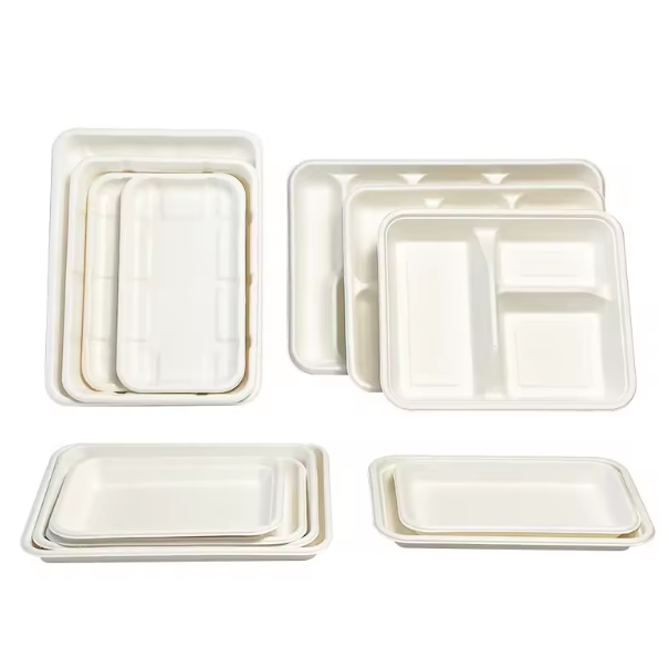 Factory Compostable Biodegradable Disposable Bagasse Paper Meat Tray Dish