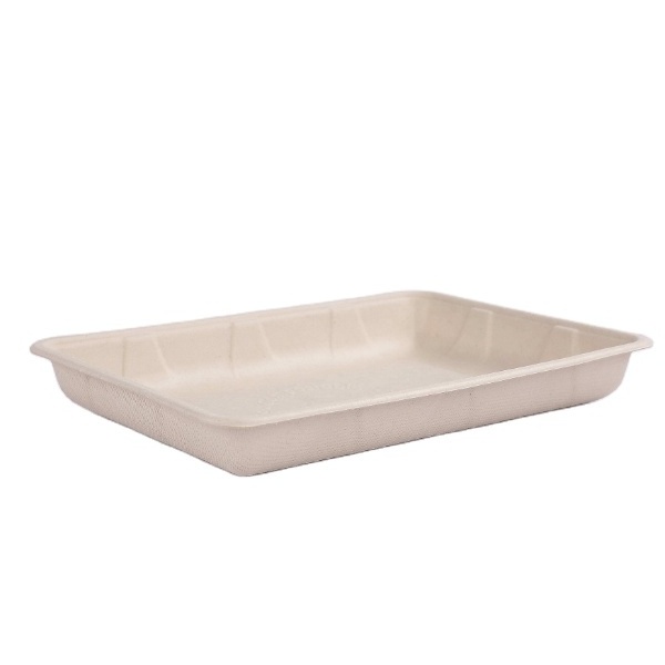 Factory Compostable Biodegradable Disposable Bagasse Paper Meat Tray Dish