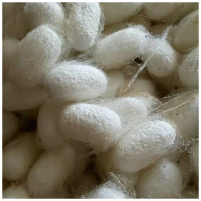 China factory wholesale Undyed Raw Silk 100% Mulberry Silk Yarn for Weaving and Knitting